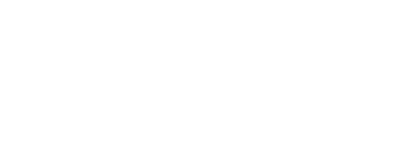 19MUV3-DC-NE-Logo-Robin-Damon-FINAL_png_white